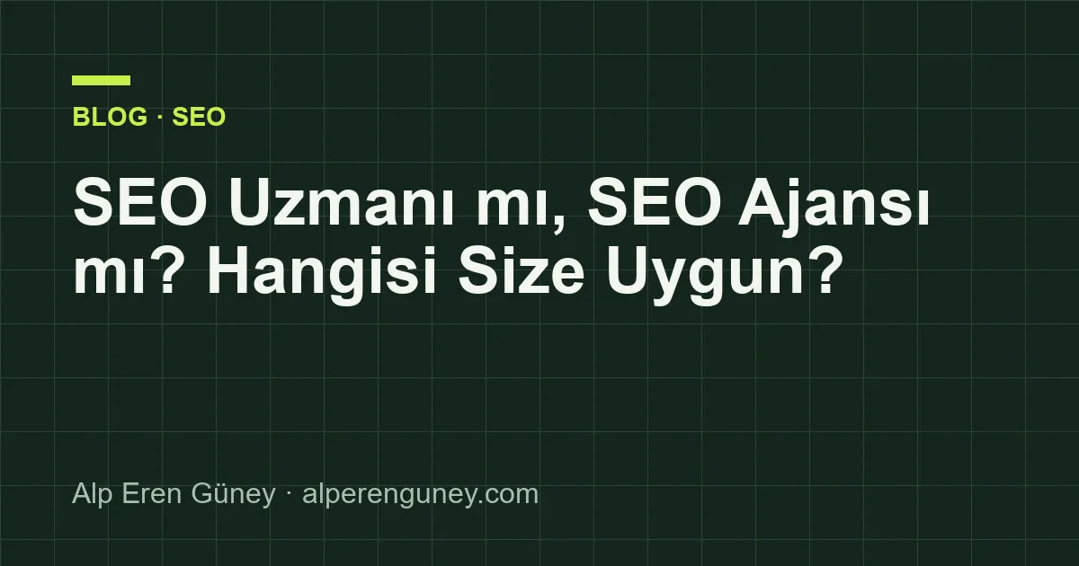 SEO Uzmanı mı, SEO Ajansı mı? Hangisi Size Uygun?